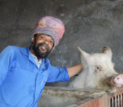 Taking pride in pig farming